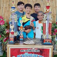 ไก่เก่งภูธร