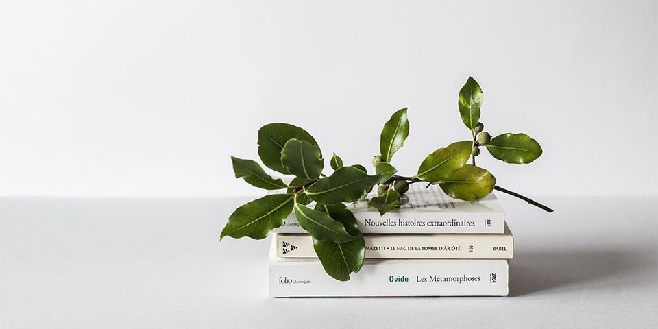 アカウント紹介 Mk ミッシェルクラン 池袋東武店 Line Official Account