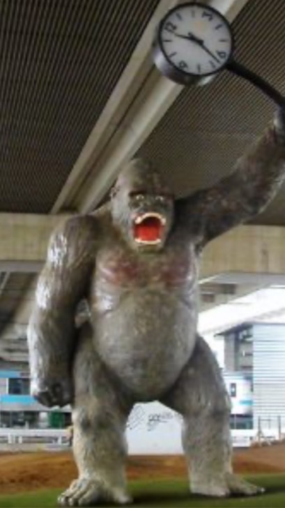 南浦和・蕨の仲間探し