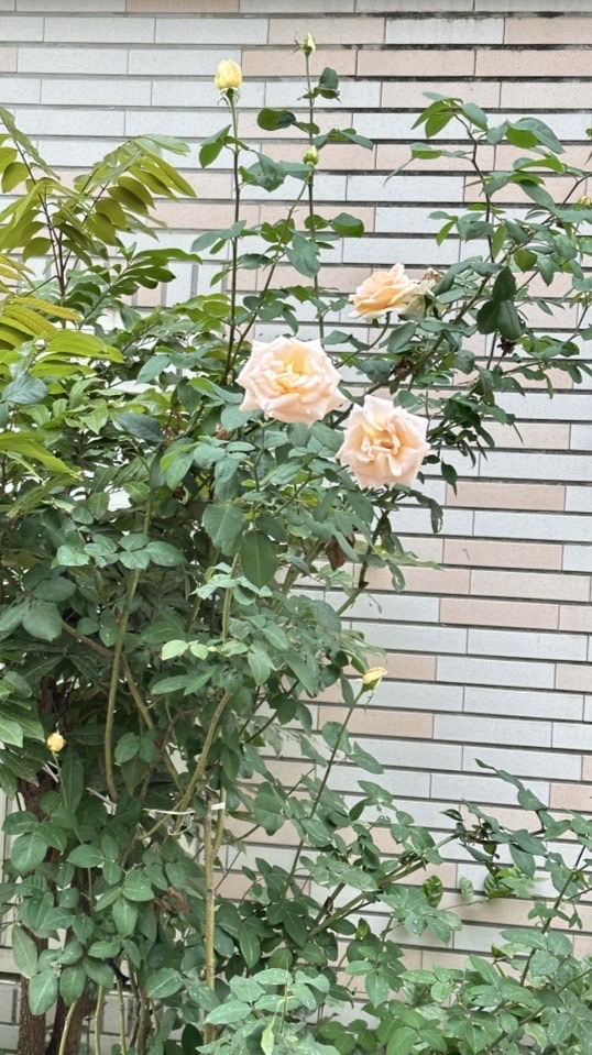隨意聊聊