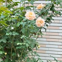 隨意聊聊