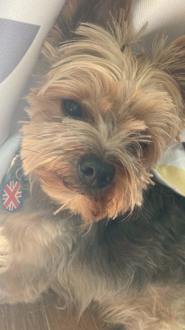 みんなー集まれー！