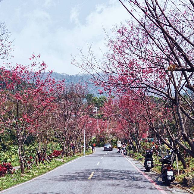 （圖片來源／IG @xu4jo3）