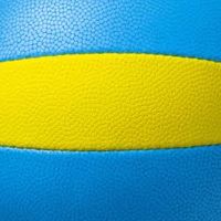 愛知県ドッジボール協会