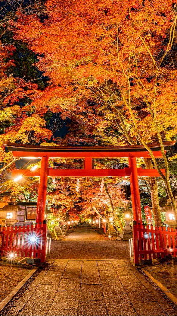 HATCH京都　ラボ