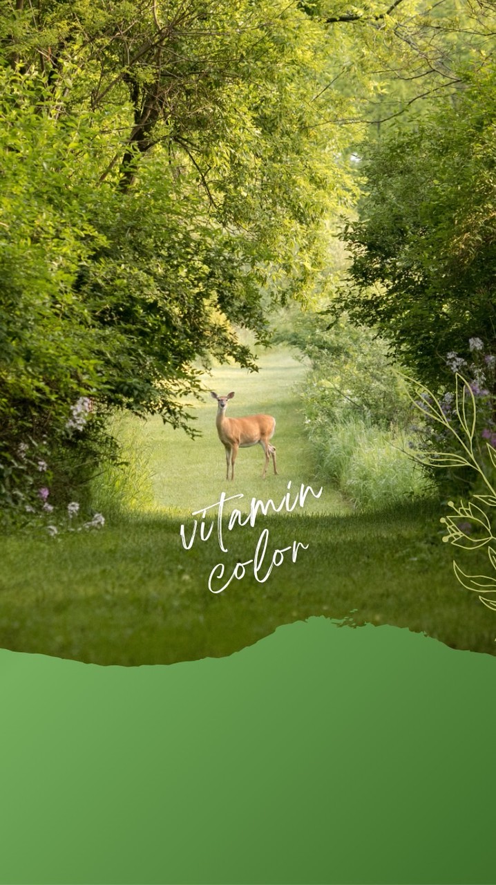 大人の健康ボイトレ🎵