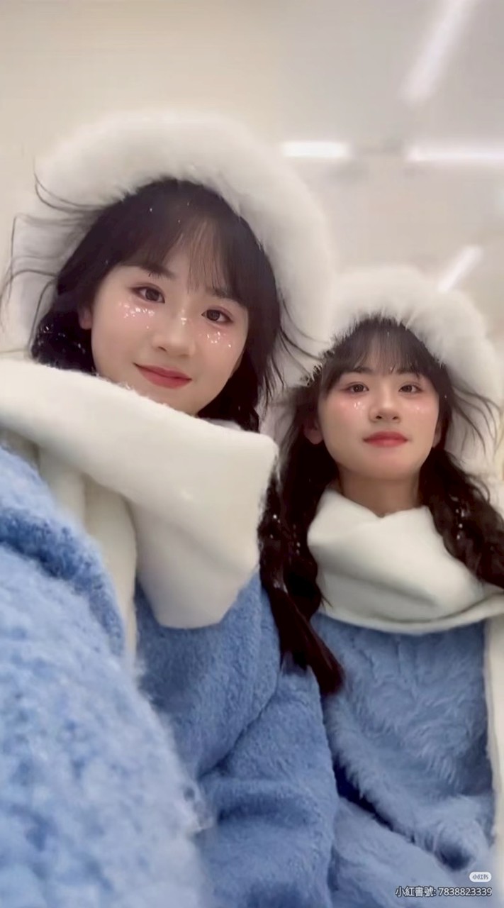 姊妹公司（寶藏女孩）