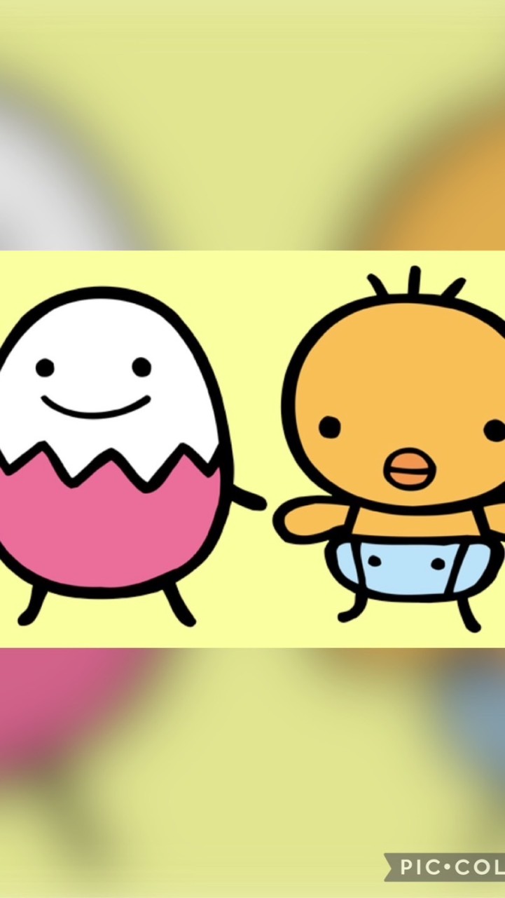 たまひよブラザーズ2021年6月