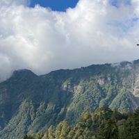 賽鴿研討俱樂部