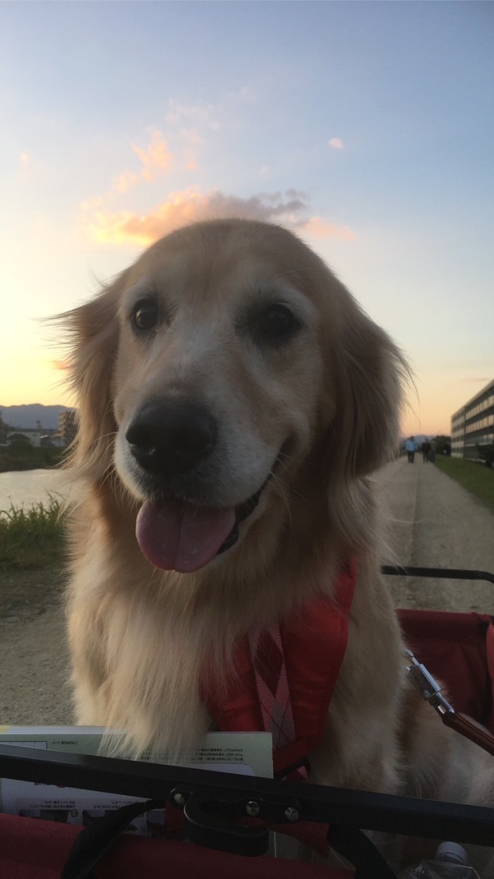 夢幻の館