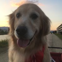 夢幻の館