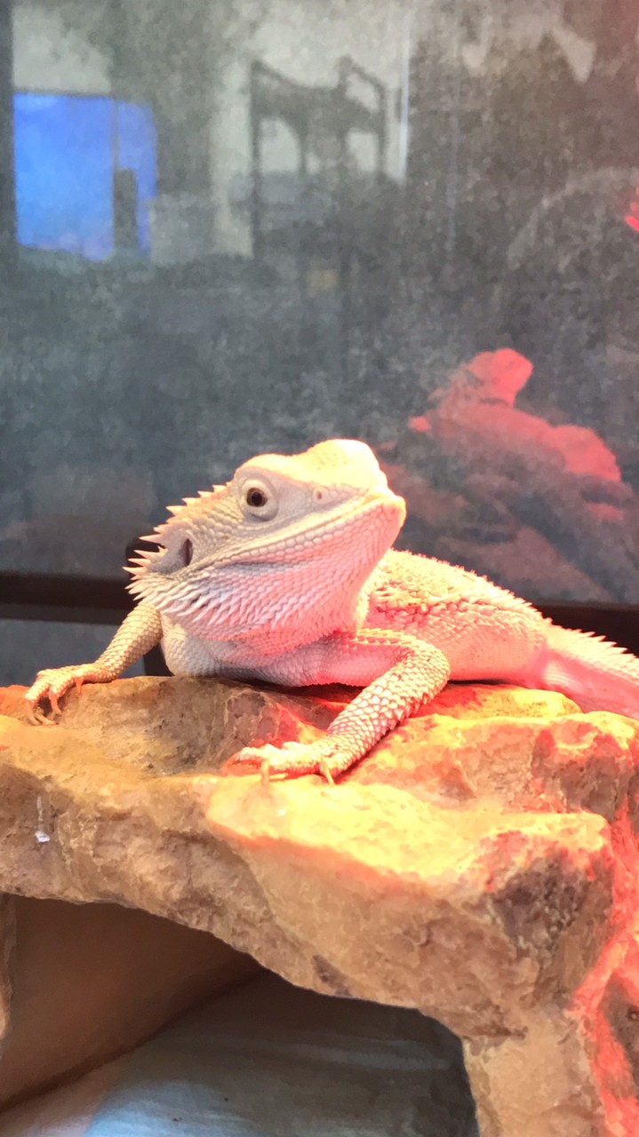 土佐潜水お知らせ掲示板