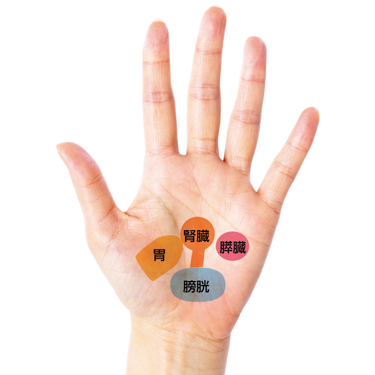 黒田知永子さんインタビュー しみ シワ対策には保湿と小さな習慣を