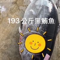 現流野生大竹午/生魚片專賣/熟成生魚片