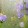 動漫、頭像、桌布交易所~