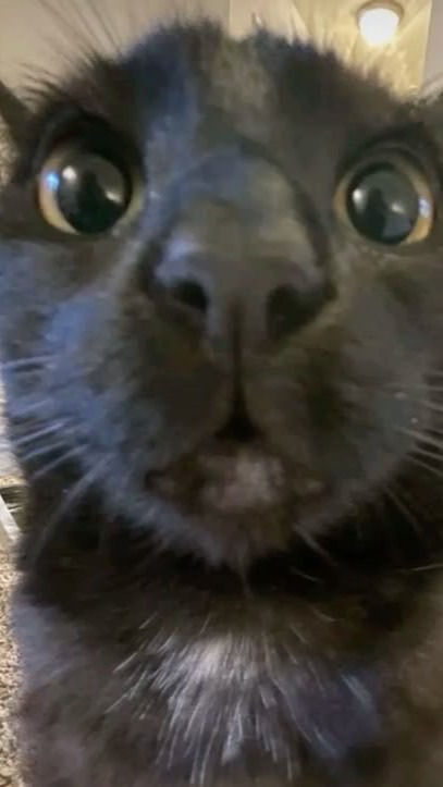 เดอะโกสตามใจฉัน