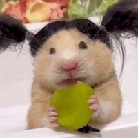 ⟡身内💖✨作って隣🫂GET全激緩ハント⟡
