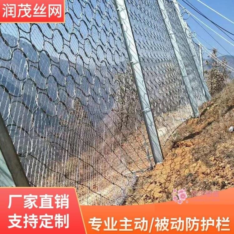 安全網 邊坡防護網主動被動SNS柔性鋼絲繩安全網山體滑坡危巖落石防護網T