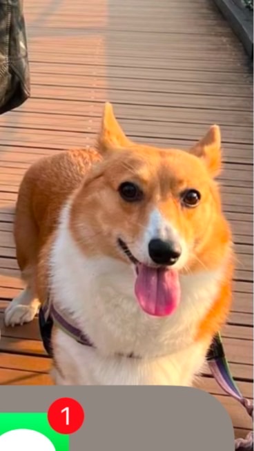 蔡H O M E