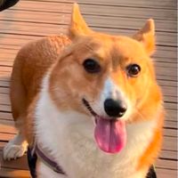 蔡H O M E