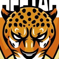 TeamCheetahs🐆