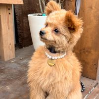お鶴のオープンチャット