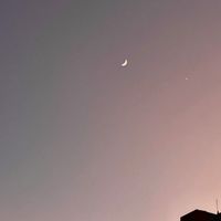 雜七雜八代購群