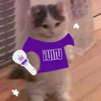 蛋仔家族ouo