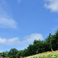 FP2級(AFP)過去問Q&A