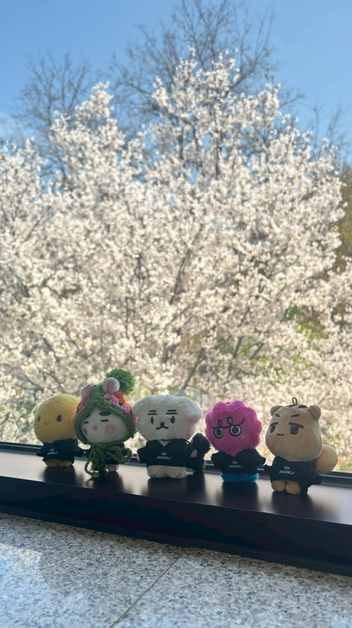 티나Tina💎韓國의ATM