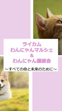 ライカムわんにゃんマルシェ