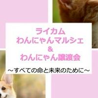 ライカムわんにゃんマルシェ