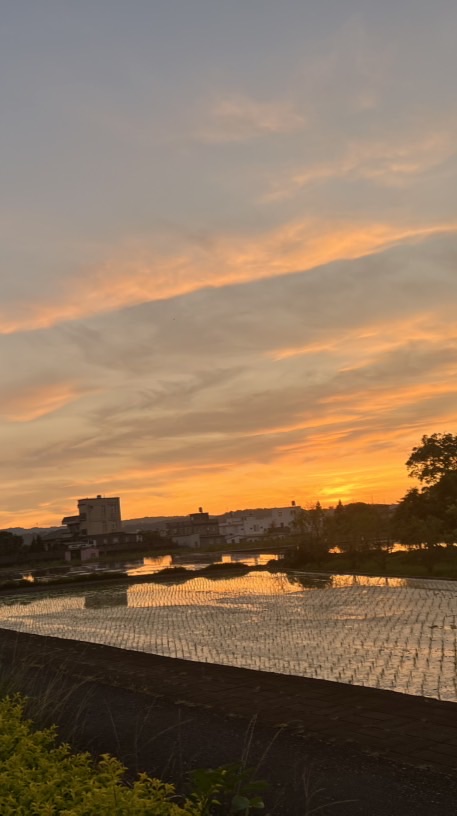 阿月天堂電台❣️霸總招待所🈷️
