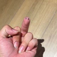 山本水族認真摸魚