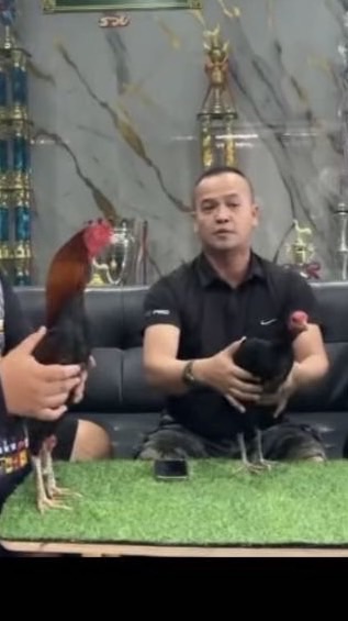 แต๊ก ปากน้ำโพไก่ชน