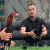 แต๊ก ปากน้ำโพไก่ชน