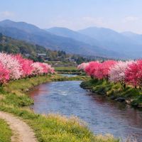 💐🍀田舎のカフェ―💐🍀ゆっくりコーヒーでも飲んでライブトークしませんか❓