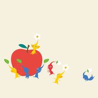 皮皮飼養隊