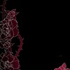 【 折也 】 異常な薆を　折薔薇𓂃.*･ﾟꫂ ၴႅၴ