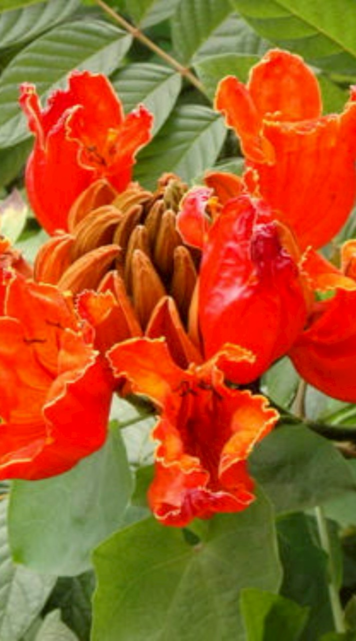 ค่ายแคแสดคืนถิ่นครั้งที่ 19