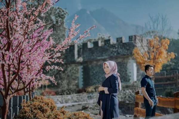 7 Tempat Wisata Di Indonesia Dengan Spot Bunga Sakura Cantik