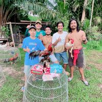 ค่ายไก่4กุมาร