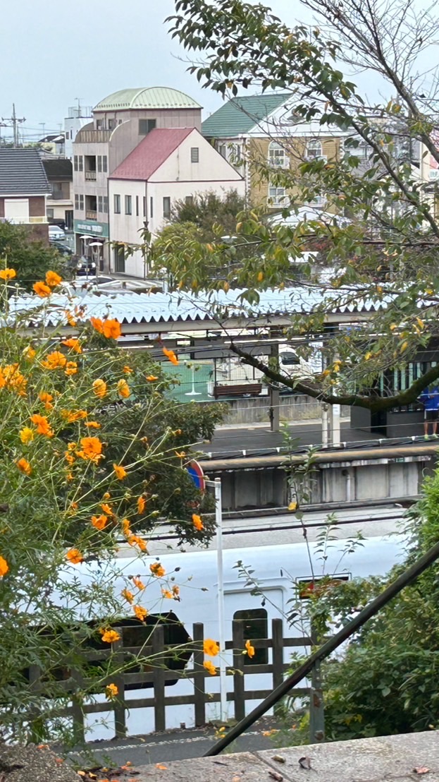 東武鉄道のことを話そう(恋バナとかもOK)