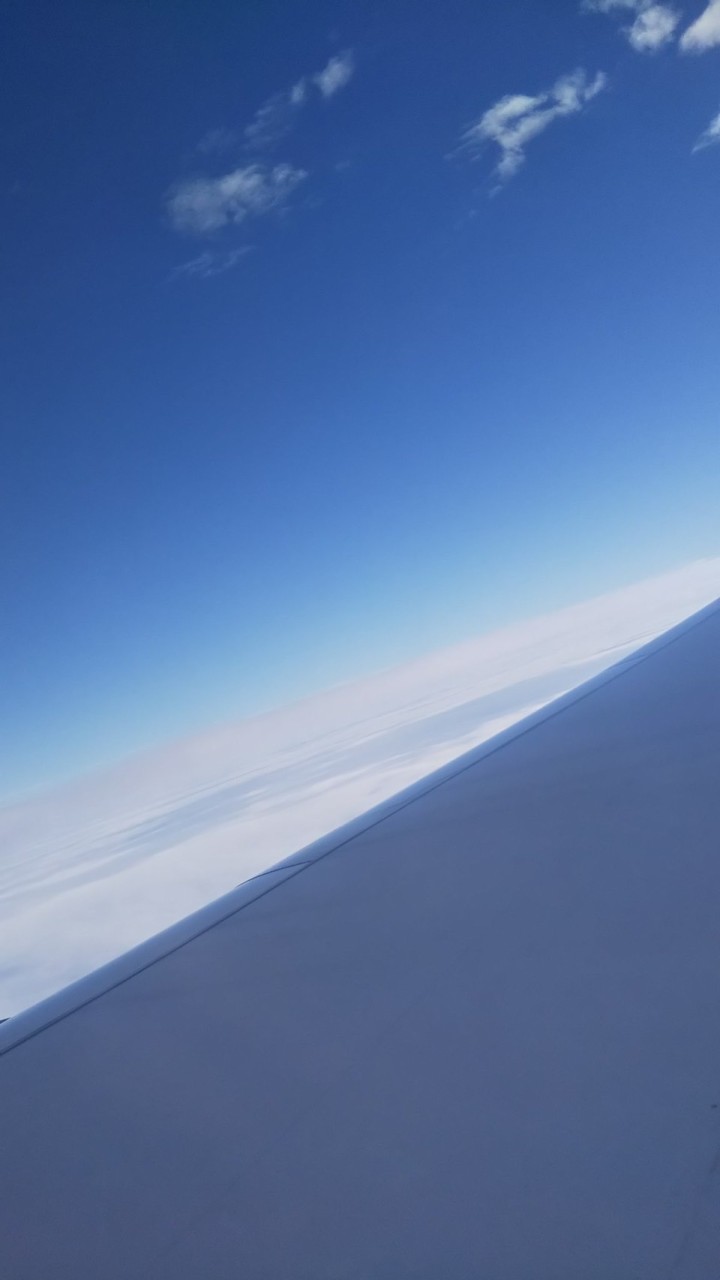 ぽむ子の部屋のオープンチャット