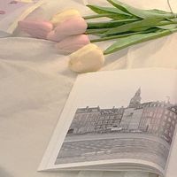 【5/23】新一年生春の運動会🌸