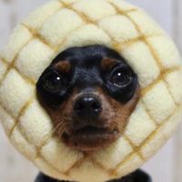 クリエイティブワークショップ　Lクラス