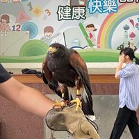 樂利國小六年四班班級社群