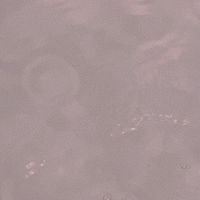 STPRガチなりきりみた人ストップ！