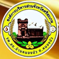 🏥 เครือข่ายสุขภาพตำบลหนองบัว