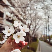 🌸漓醬12/19-12/28 in JP｜代購×穿搭×小日常✈️
